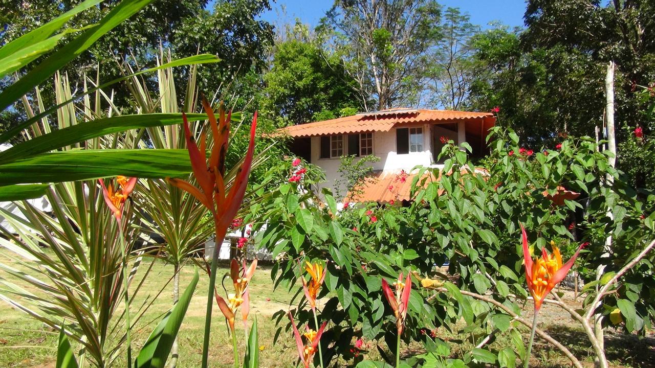 Cebaco Sunrise Lodge Isla Cebaco Bagian luar foto