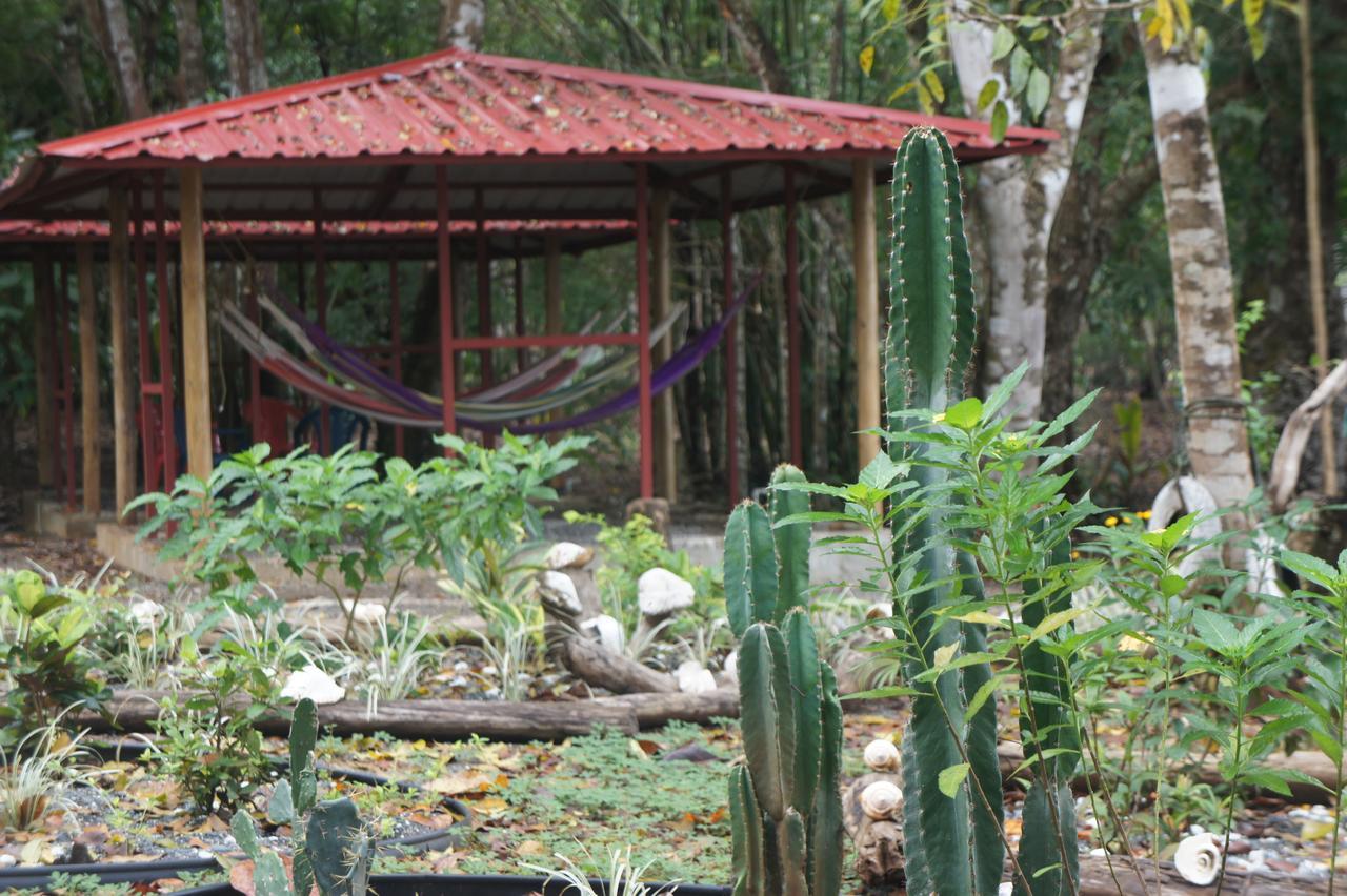 Cebaco Sunrise Lodge Isla Cebaco Bagian luar foto